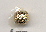 F 74, filigree bead