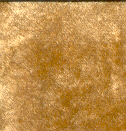 Bear Fur, Gold - Click Image to Close
